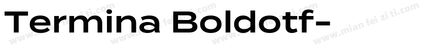 Termina Boldotf字体转换
